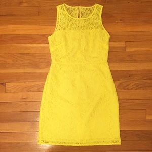 J. Crew Neon Lace Shift Dre Short Casual Dress